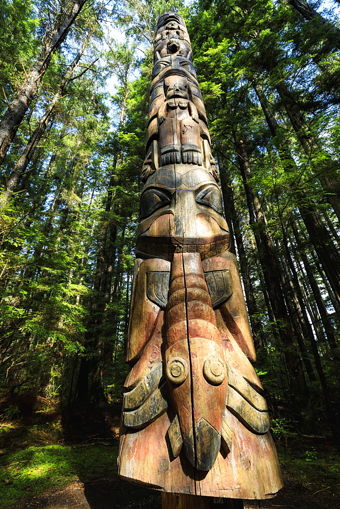 Lakich'inei Pole, Tlingit totem pole, lit by sun in rainforest, Sitka National Historic Park, Sitka, Baranof Island, Alaska, United States of America, North America