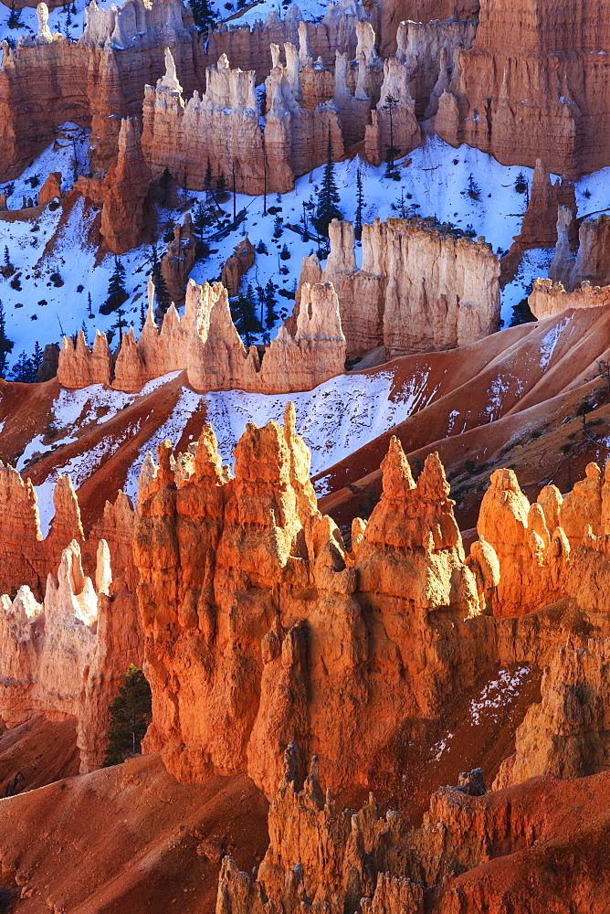 Hoodoos and snow lit by strong late afternoon sun in winter, near Sunrise Point, Bryce Canyon National Park, Utah, United States of America, North America