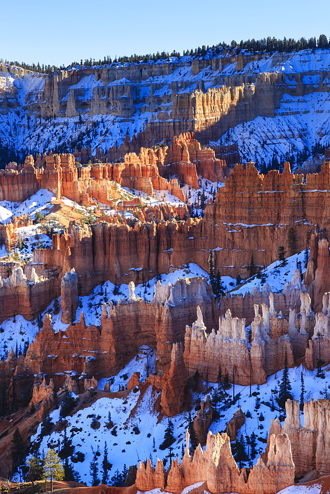 Hoodoos and snowy rim cliffs lit by late afternoon sun, winter, near Sunrise Point, Bryce Canyon National Park, Utah, United States of America, North America