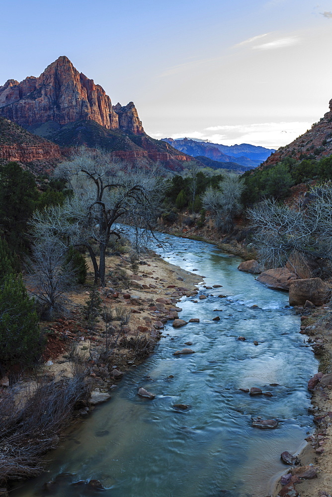 Sunset lights The Watchman, Virgin River overlook in winter, Zion National Park, Utah, United States of America, North America