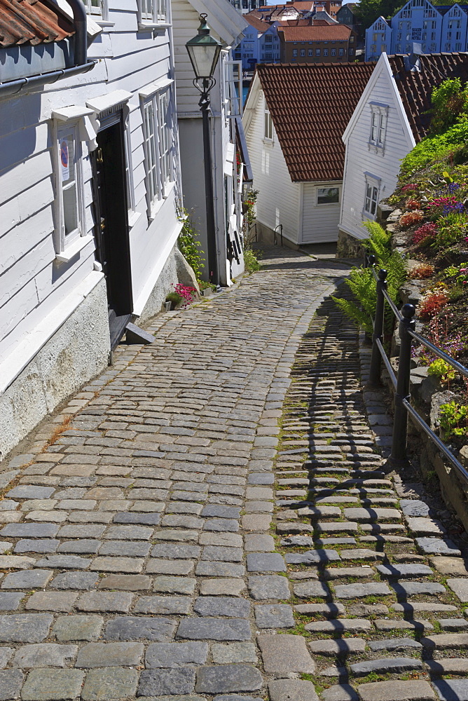 Steep cobbled street and white wooden houses, Old Stavanger (Gamle Stavanger), Stavanger, Norway, Scandinavia, Europe