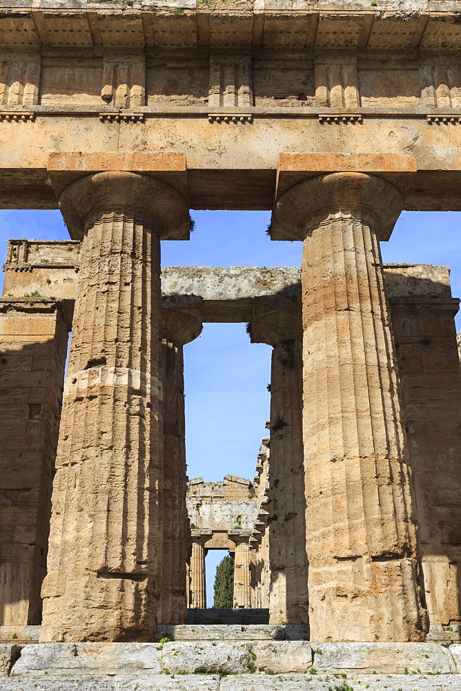 Temple of Neptune, 450 BC, largest and best preserved Greek temple at Paestum, UNESCO World Heritage Site, Campania, Italy, Europe