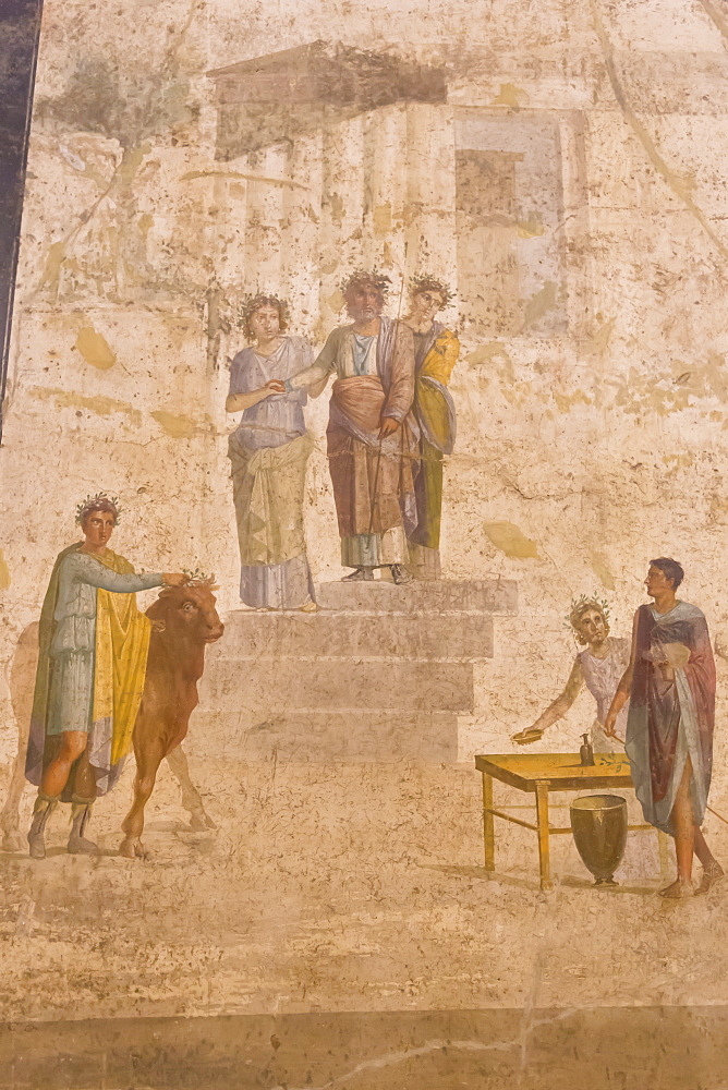 Panel painting, from The House of Jason, Pompeii, displayed at National Archaeological Museum, Naples, Campania, Italy, Europe