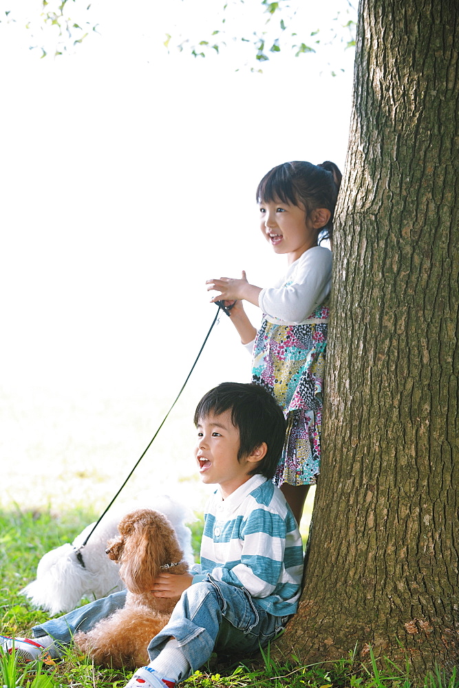 Girl and Boy with Poodle Dog near Tree Trunk