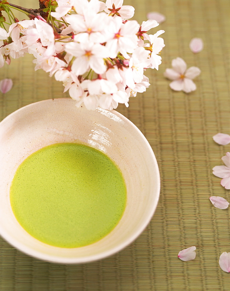 Cherry Blossoms And Japanese Tea