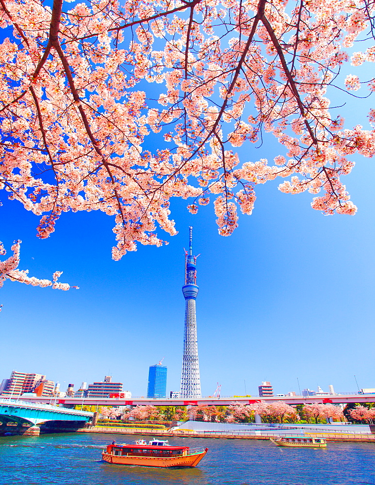 Tokyo Sky Tree, Tokyo, Japan