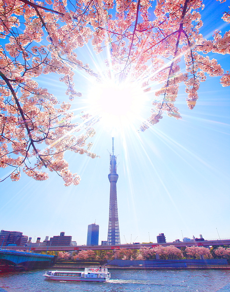 Tokyo Sky Tree, Tokyo, Japan