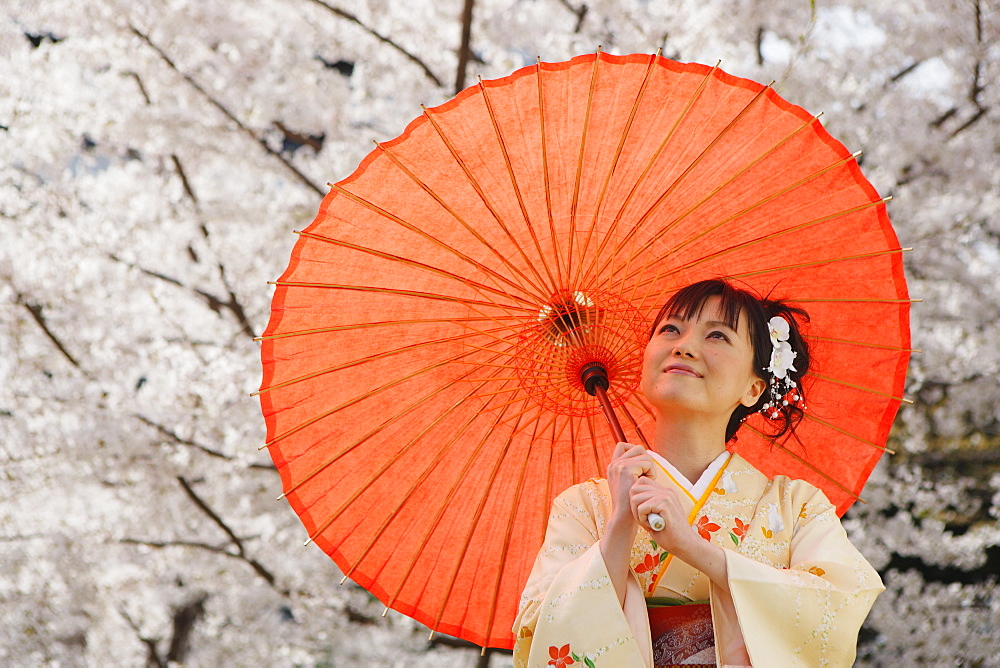 Woman Dressed in Kimono Standing Holding Parasol