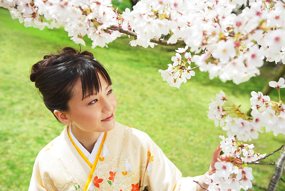 Japanese Woman Smiling Looking At Cherry Blossoms