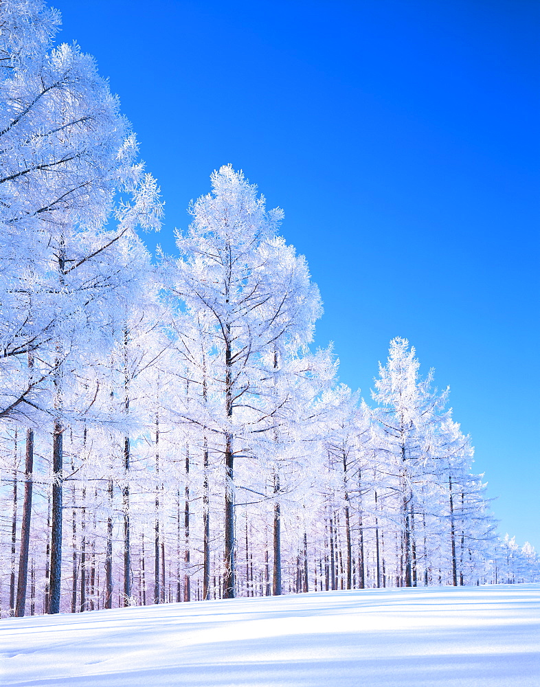 Biei, Hokkaido