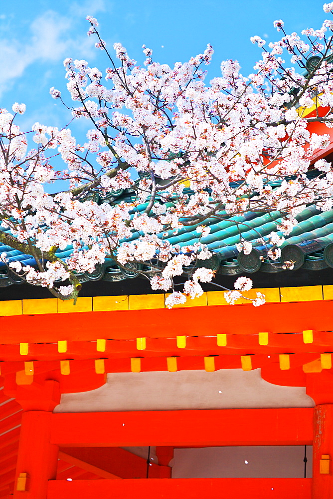 Heian Shrine, Kyoto