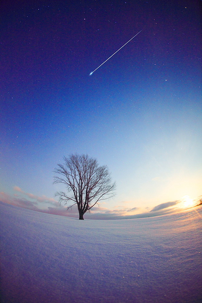 Biei, Hokkaido