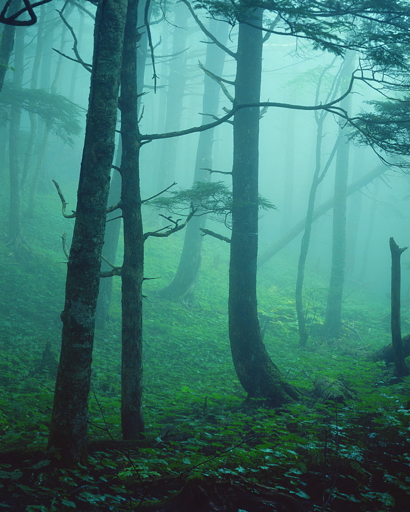 Yamanashi Prefecture, Japan