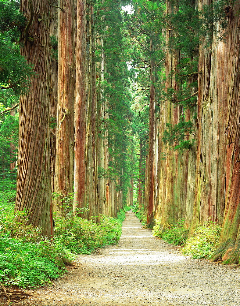 Nagano Prefecture, Japan