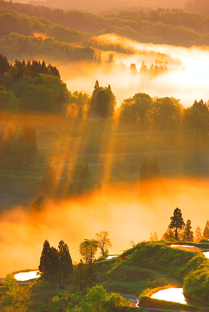 Tokamachi, Niigata, Japan