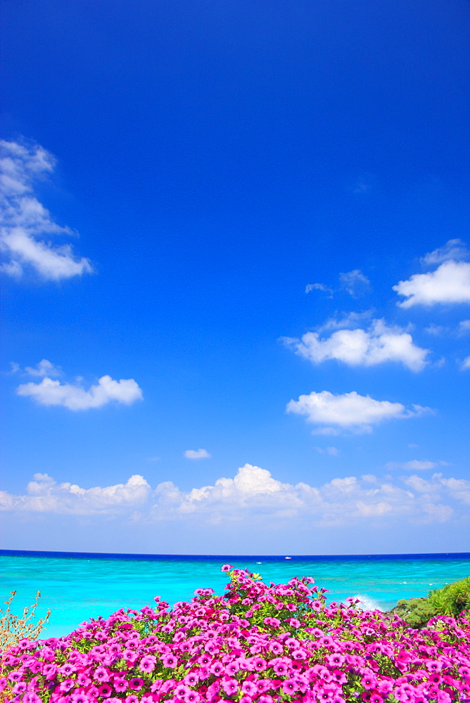 Yoron Island, Kagoshima, Japan