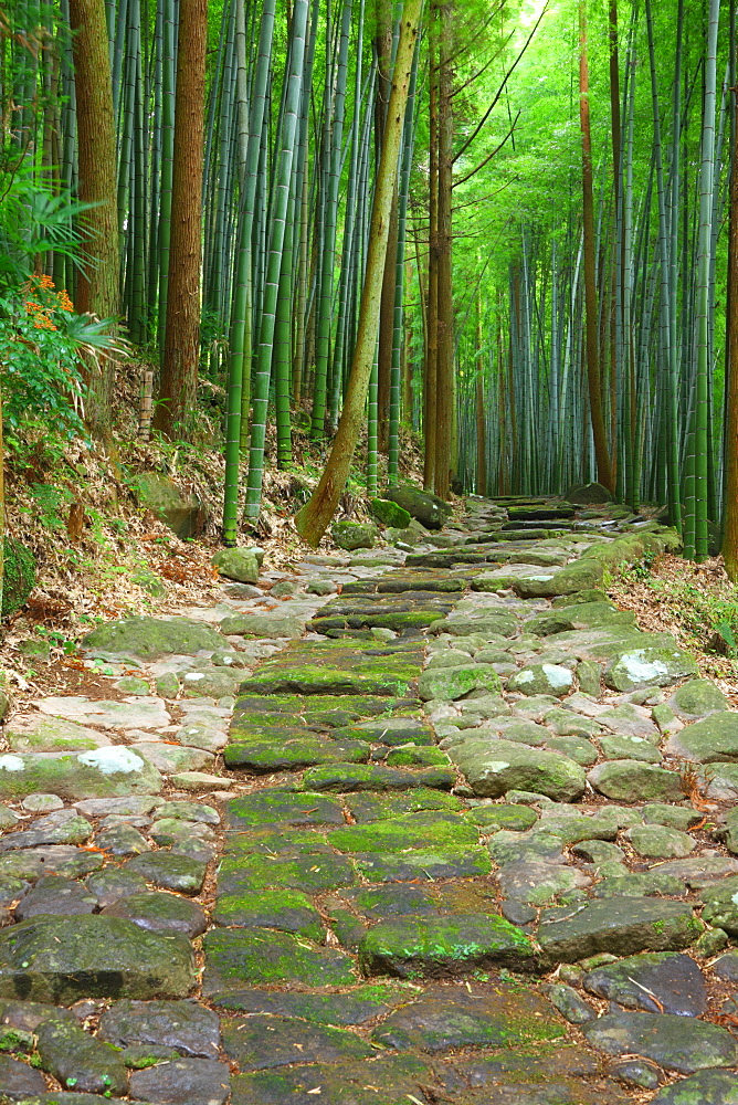 Ishizakaishidatami Road, Oita, Japan