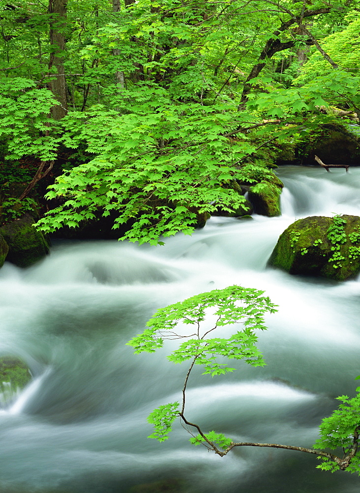 Oirase River, Aomori, Japan