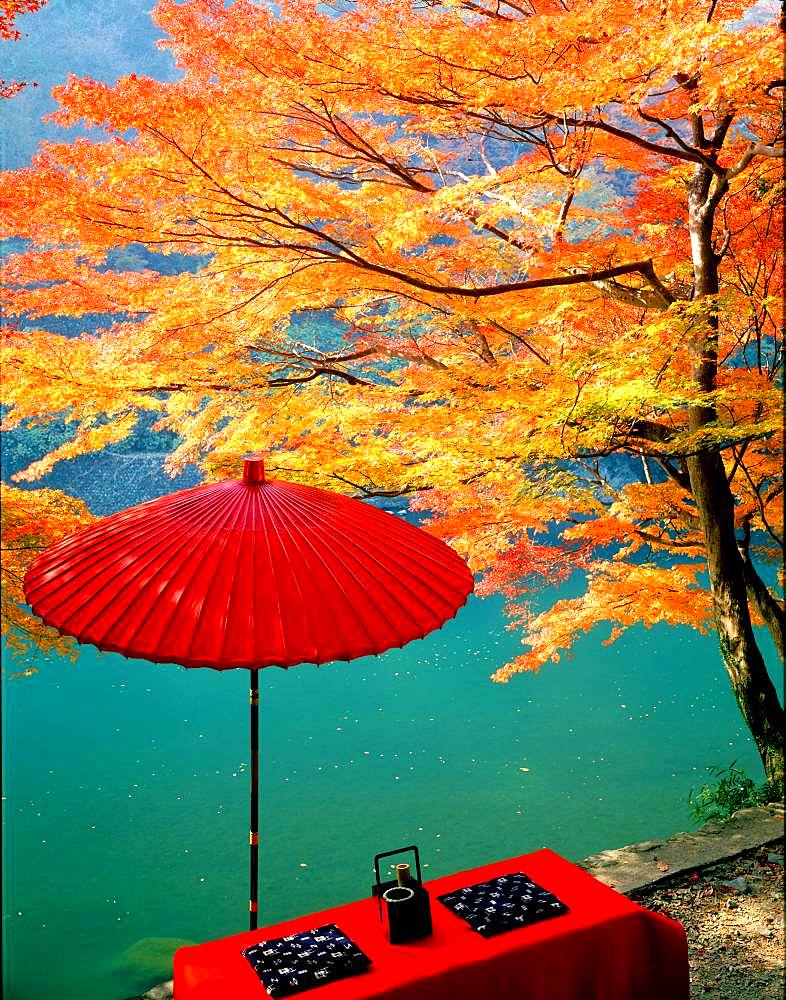 Arashiyama in Autumn