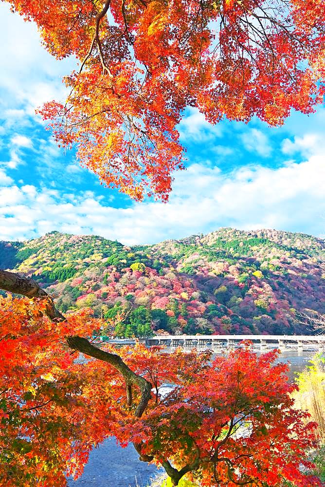 Kyoto, Japan