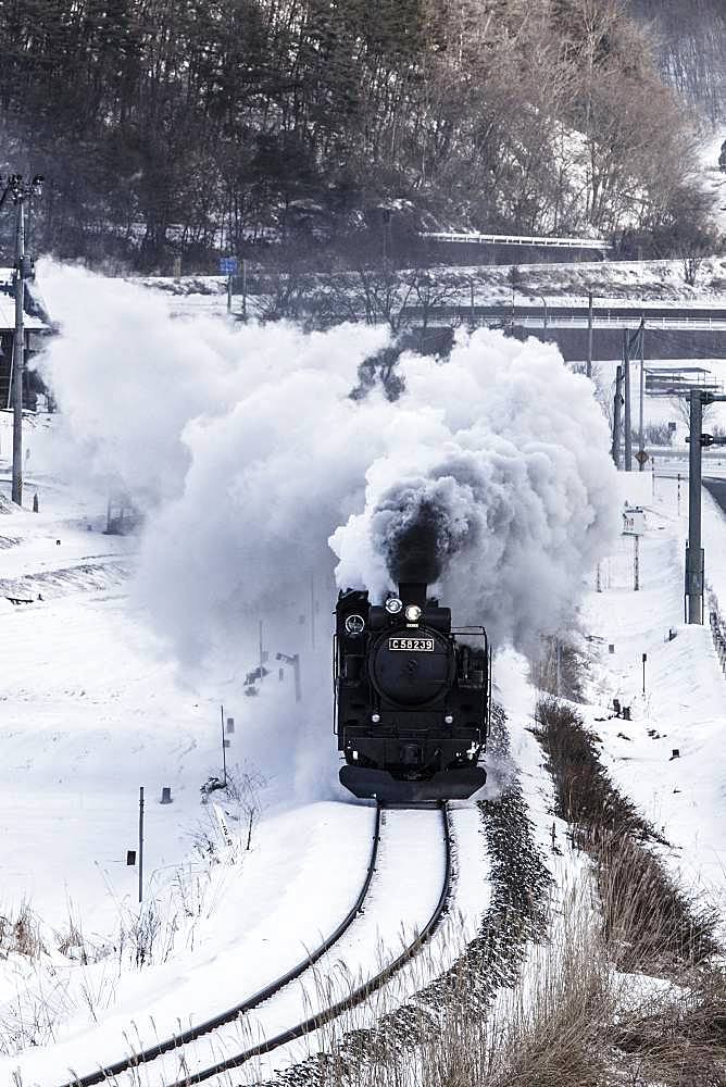 Iwate Prefecture, Japan