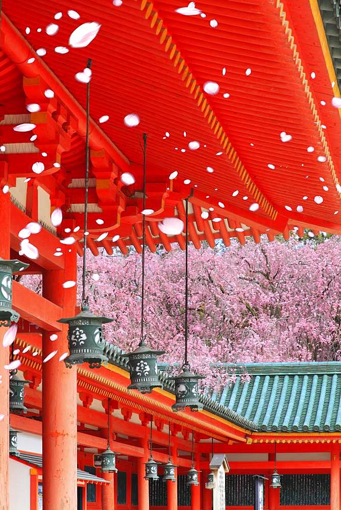 Kyoto, Japan