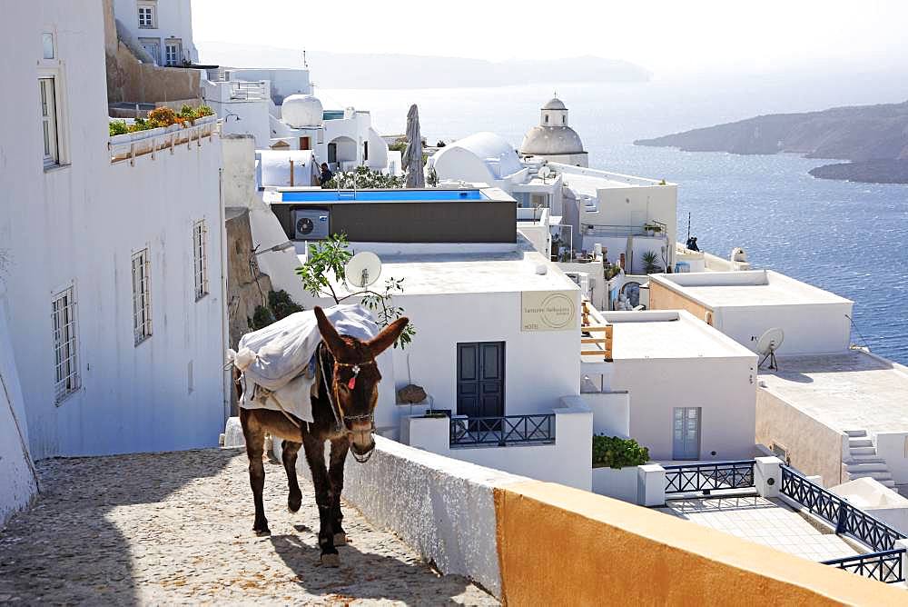 Greece, Cyclades Islands, Santorini Island, Thira