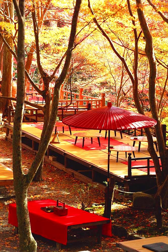 Kozan-ji, Kyoto, Japan