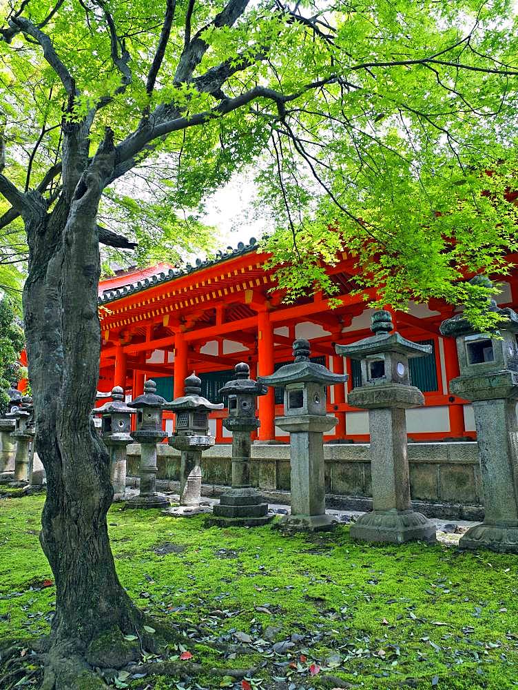 Kasuga-Taisha, Nara, Japan