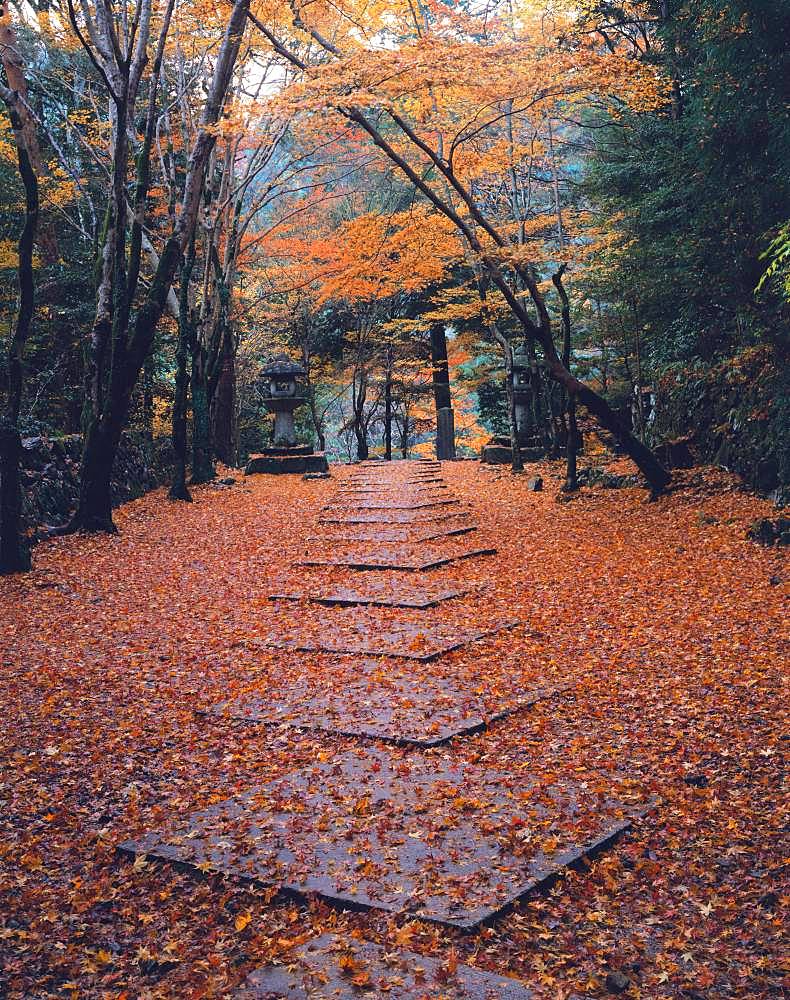 Kyoto, Japan