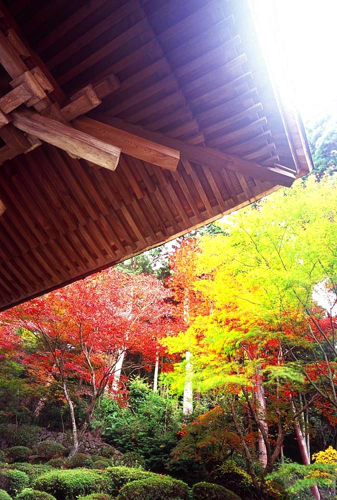 Mt. Hiei and Enryaku-ji, Kyoto, Japan