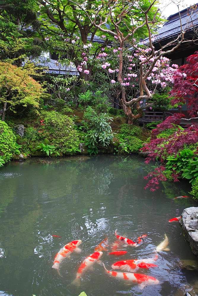 Ekouin, Wakayama, Japan