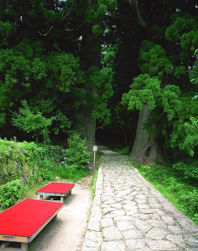 Kumanokodo, Wakayama, Japan