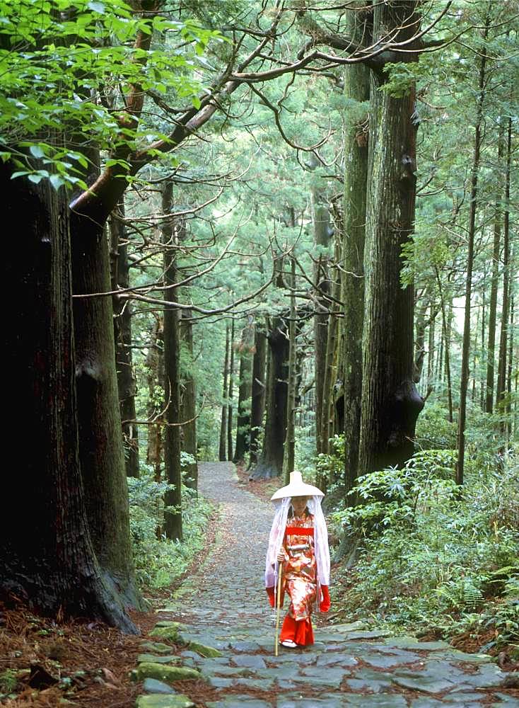 Daimonzaka, Kumanokodo, Wakayama, Japan