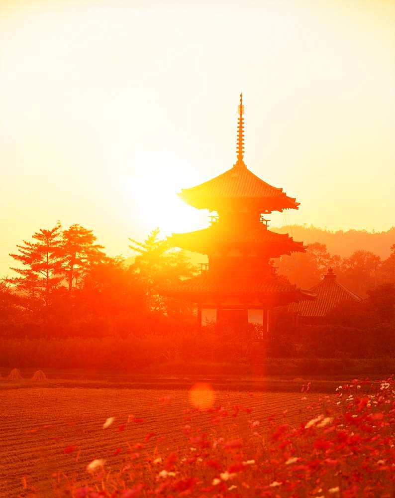 Hokki-ji, Nara, Japan