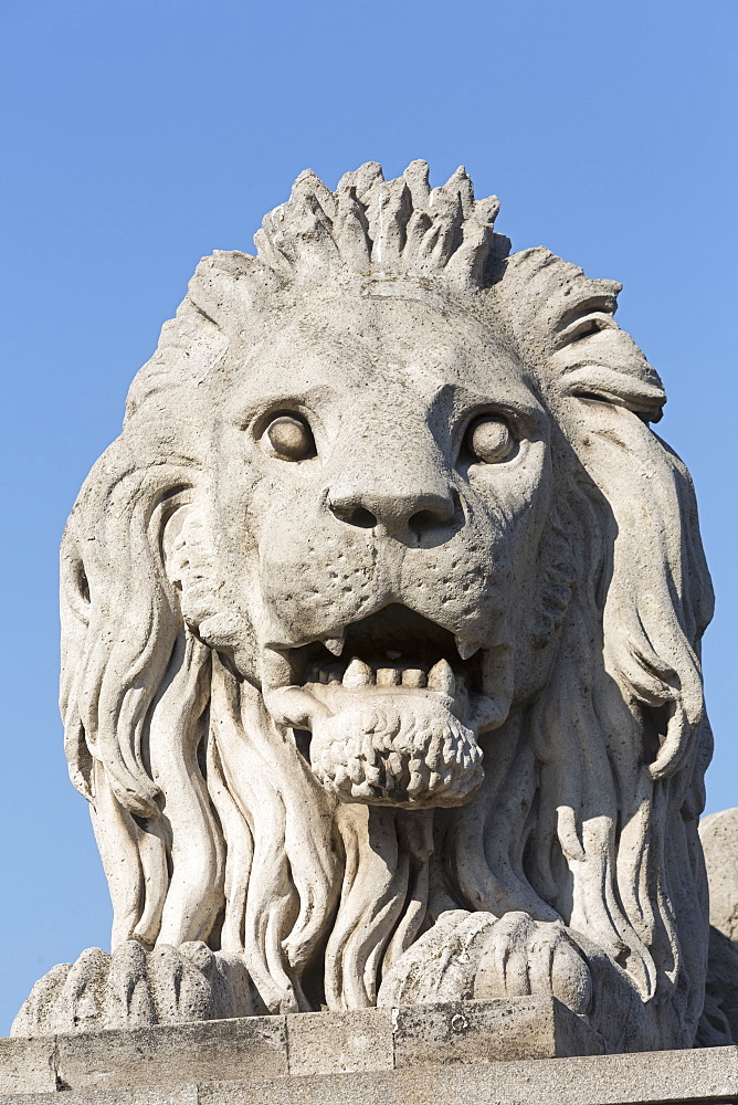 A lion statue on the Chain Bridge, Budapest, Hungary