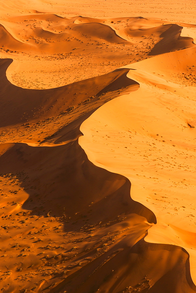 Drifts in the Namibia desert, Sossusvlei, Namibia