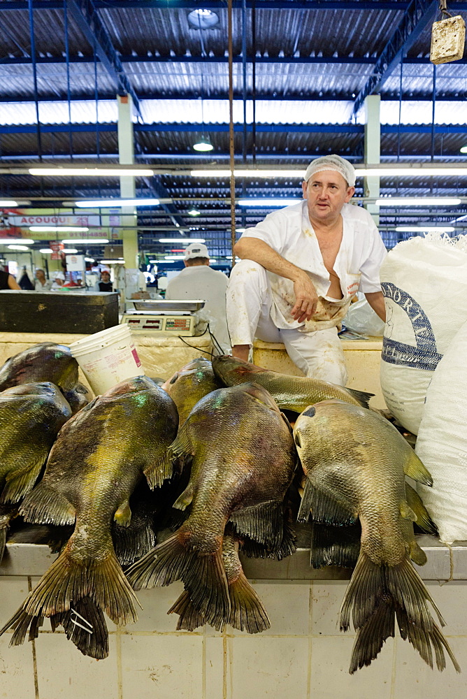 Fishmonger in Belem fish market in the Amazon, Para, Brazil, South America