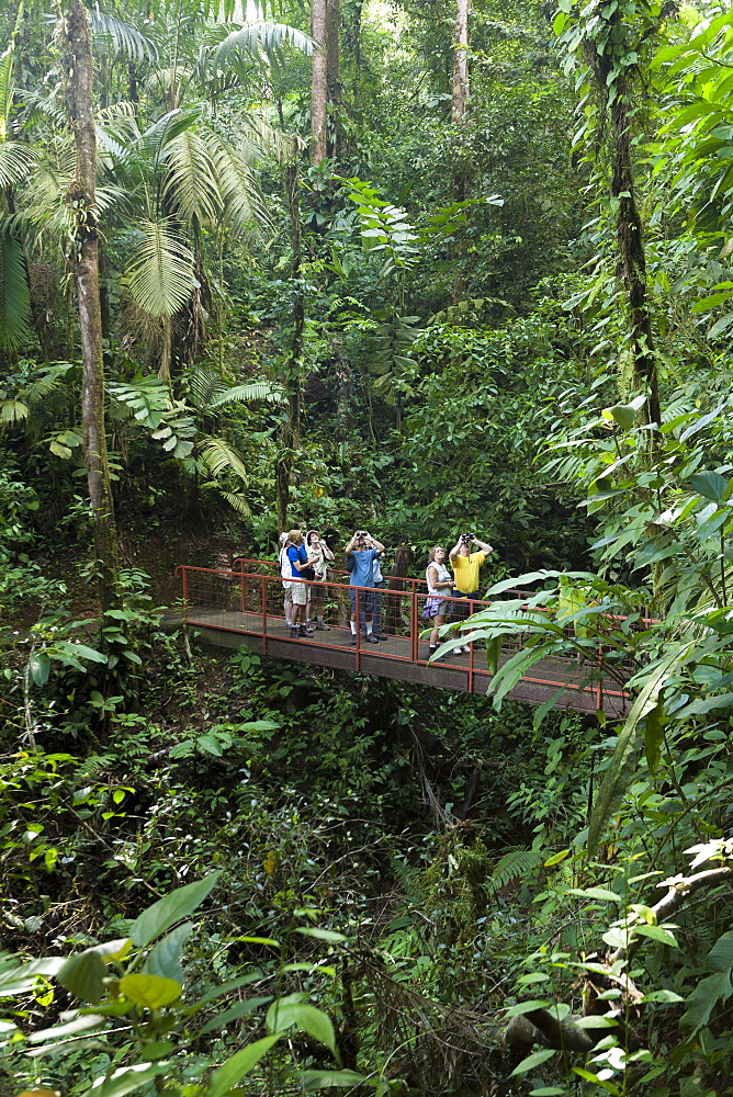 Birdwatchers, Mistico Arenal Hanging Bridges, Alajuela, Costa Rica, Central America