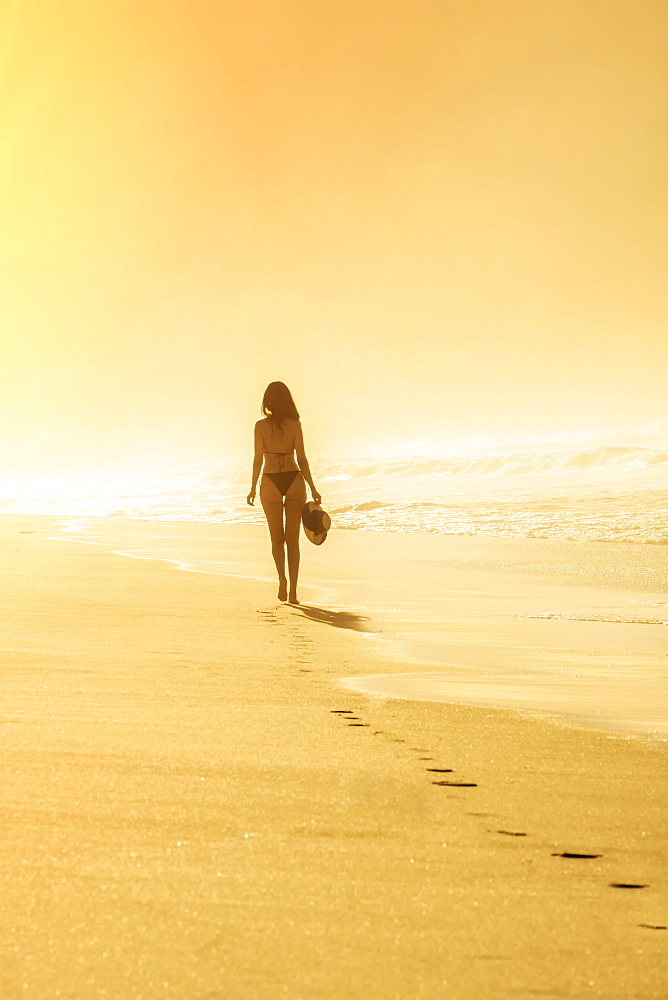 Young Brazilian (Latin American) (Latina) woman in golden dawn light on the beach in a bikini, Rio de Janeiro, Brazil, South America