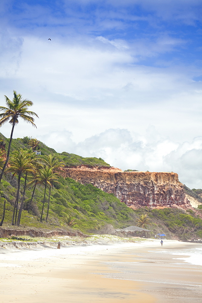 Pipa, Rio Grande do Norte, Brazil, South America