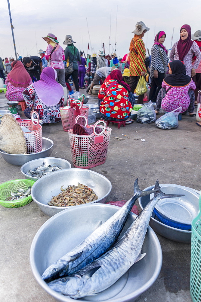 Morning fish market on the banks of the Preaek Tuek Chhu River in Kampot town, Cambodia, Indochina, Southeast Asia, Asia