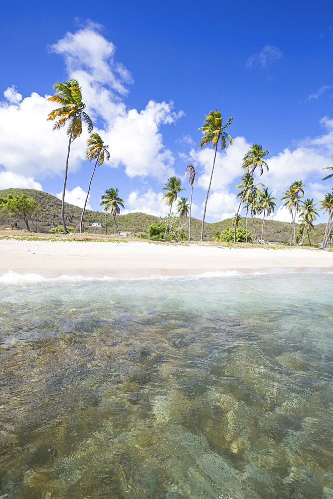 Sandy beach surrounded by palm trees and the Caribbean Sea, Morris Bay, Antigua and Barbudas, Leeward Islands, West Indies, Caribbean, Central America