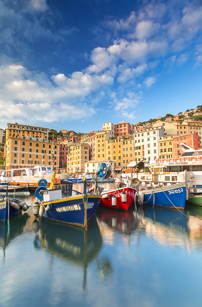 Sunset frames harbour and fishing village Camogli, Gulf of Paradise, Portofino National Park, Genoa province, Liguria, Italy, Europe