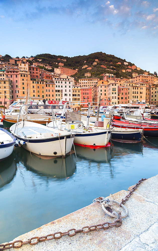 Sunset frames harbour and fishing village of Camogli, Gulf of Paradise, Portofino National Park, Genoa province, Liguria, Italy, Europe