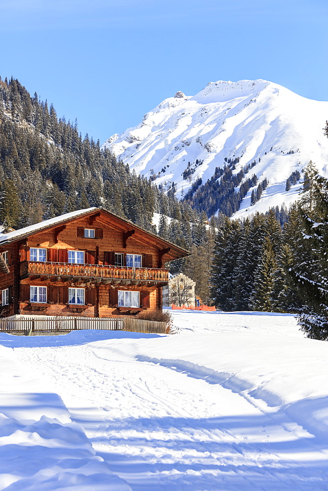 Typical wooden hut framed by woods and snowy peaks, Langwies, district of Plessur, Canton of Graubunden, Swiss Alps, Switzerland, Europe