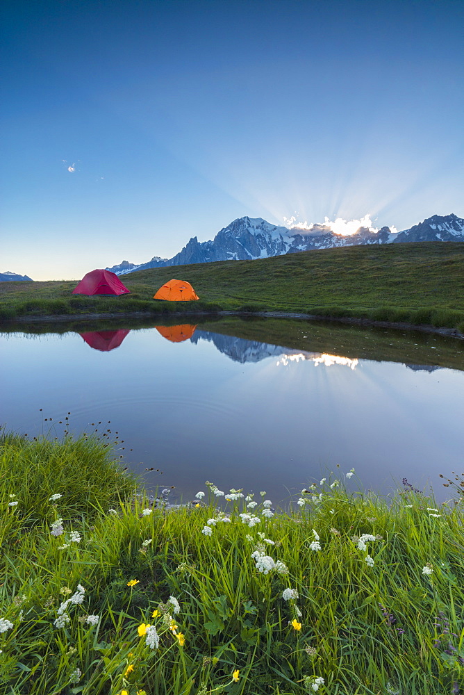 Camping tents in the green meadows surrounded by flowers and alpine lake, Mont De La Saxe, Courmayeur, Aosta Valley, Italy, Europe