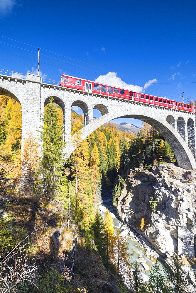 The red train on viaduct surrounded by colorful woods, Cinuos-Chel, Canton of Graubunden, Engadine, Switzerland, Europe