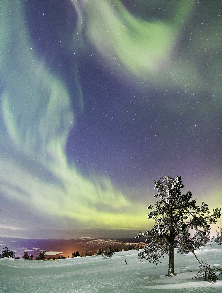 Panorama of snowy woods and frozen trees framed by Northern Lights (Aurora Borealis) and stars, Levi, Sirkka, Kittila, Lapland region, Finland, Europe