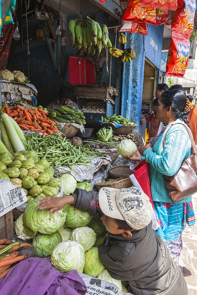 Child reaching for a cabbage at a small shop in Darjeeling, India, Asia